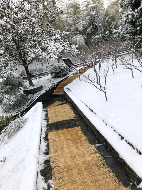 2019.02.09蜀冈唐子城风景区管理处积极应战冰雪天气5.png