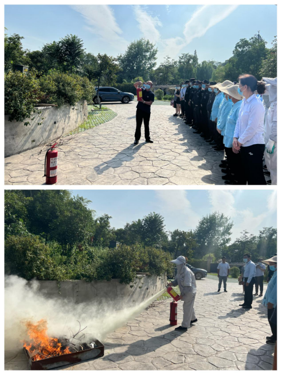 1662459382497959.png image.png