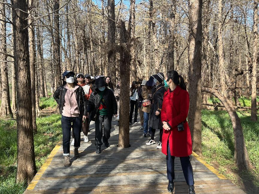 1678862927344026.png 图片3.png