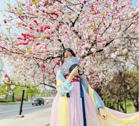 1709025579981115.png image.png