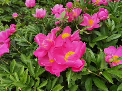 1714463770886709.png image.png