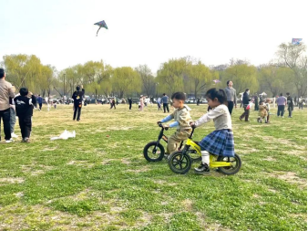 1714463777182386.png image.png