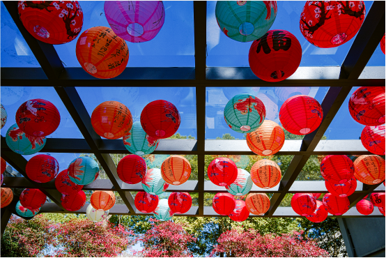 1738285674999851.png image.png