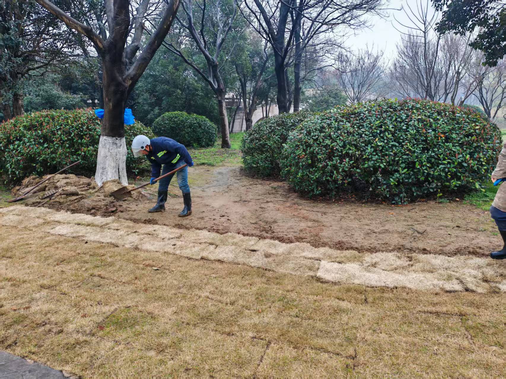 美化风筝广场环境 优化旺季服务保障 照片4.jpg