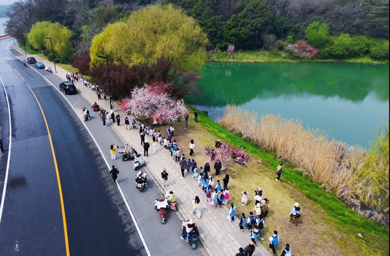 1775118097523807.jpg 4.jpg