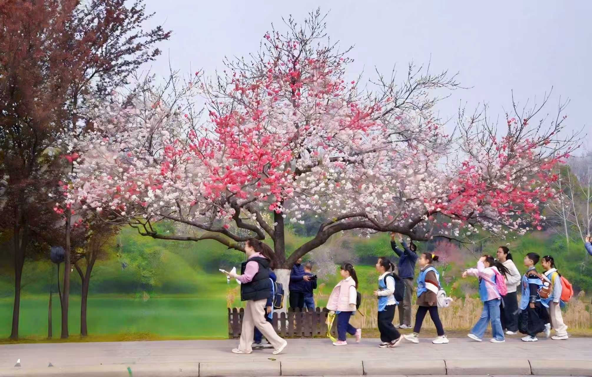 1775118173739171.jpg 微信图片_20260402162234_280_263.jpg