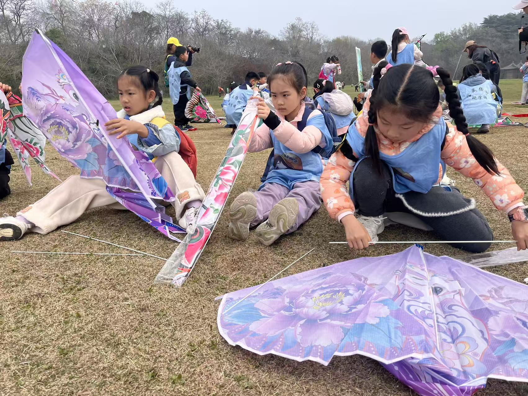 1775118242685070.jpg 微信图片_20260402162345_282_263.jpg